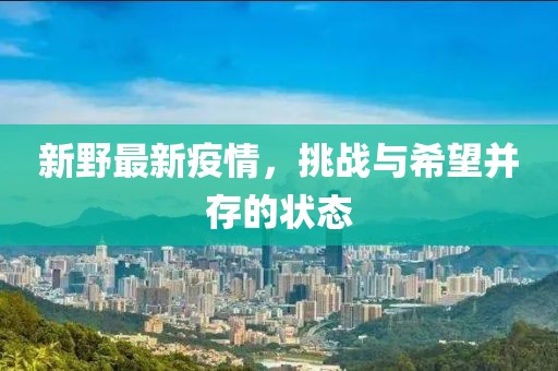 新野最新疫情，挑战与希望并存的状态