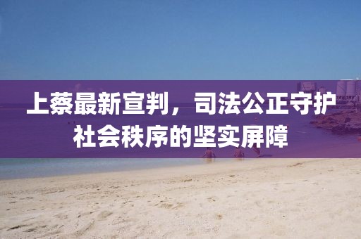 上蔡最新宣判，司法公正守护社会秩序的坚实屏障