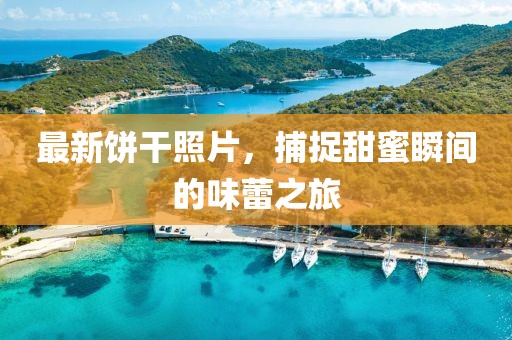 最新饼干照片，捕捉甜蜜瞬间的味蕾之旅