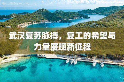 武汉复苏脉搏，复工的希望与力量展现新征程
