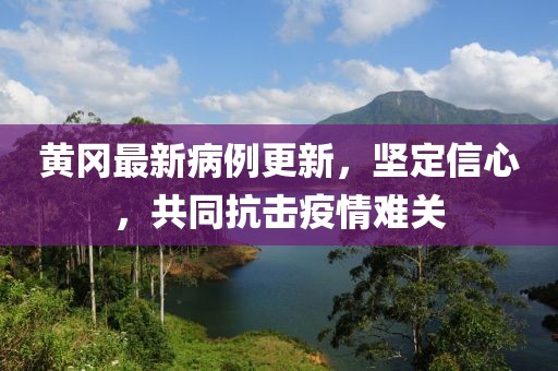 黄冈最新病例更新，坚定信心，共同抗击疫情难关