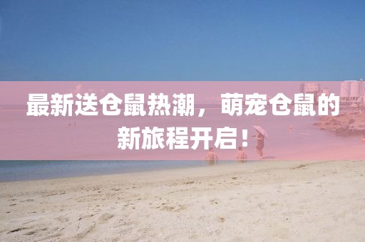 最新送仓鼠热潮，萌宠仓鼠的新旅程开启！