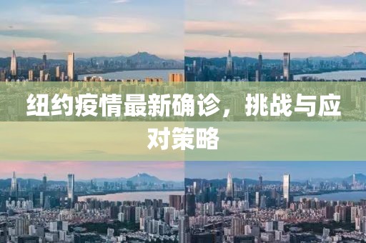 纽约疫情最新确诊，挑战与应对策略