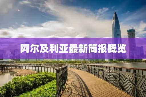 阿尔及利亚最新简报概览