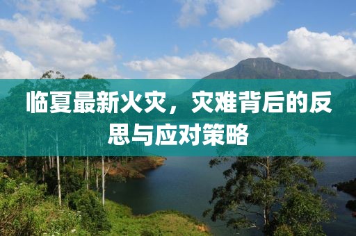 临夏最新火灾，灾难背后的反思与应对策略