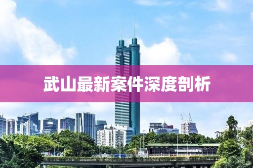 武山最新案件深度剖析