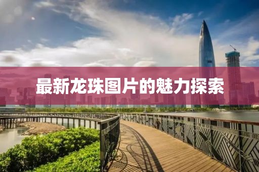 最新龙珠图片的魅力探索