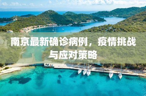 南京最新确诊病例，疫情挑战与应对策略