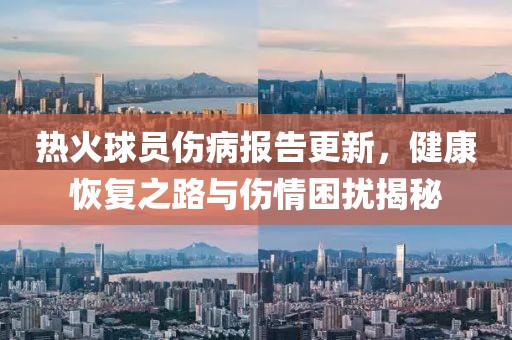 热火球员伤病报告更新，健康恢复之路与伤情困扰揭秘