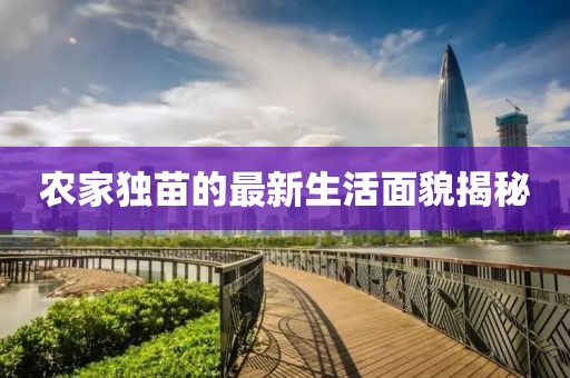 农家独苗的最新生活面貌揭秘