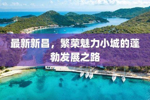 最新新昌，繁荣魅力小城的蓬勃发展之路