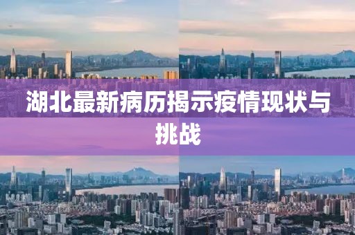 湖北最新病历揭示疫情现状与挑战
