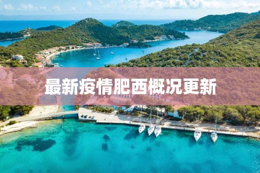 最新疫情肥西概况更新