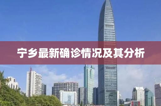 宁乡最新确诊情况及其分析