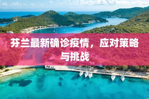 芬兰最新确诊疫情，应对策略与挑战