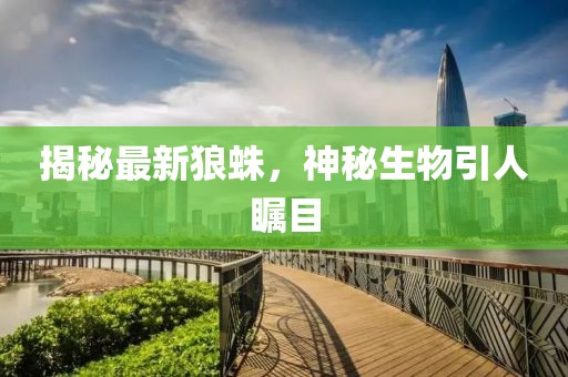 揭秘最新狼蛛，神秘生物引人瞩目