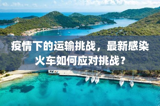 疫情下的运输挑战，最新感染火车如何应对挑战？