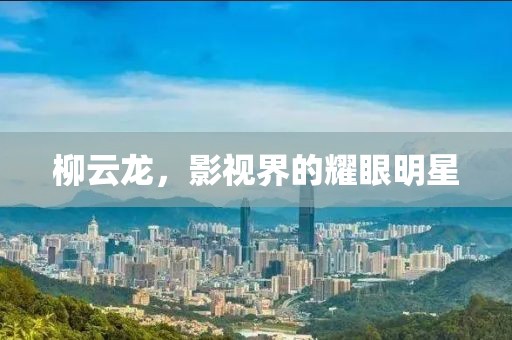 柳云龙，影视界的耀眼明星