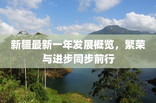 新疆最新一年发展概览，繁荣与进步同步前行
