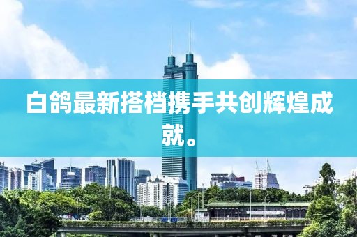 白鸽最新搭档携手共创辉煌成就。