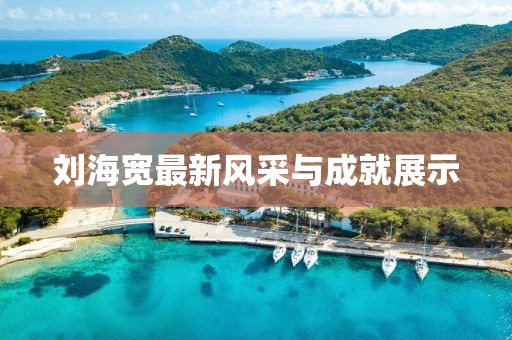 刘海宽最新风采与成就展示