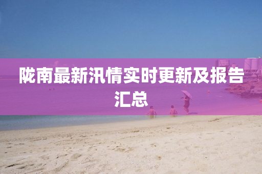 陇南最新汛情实时更新及报告汇总