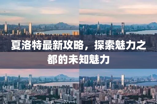 夏洛特最新攻略，探索魅力之都的未知魅力