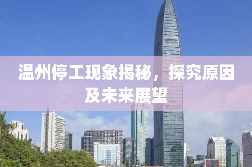 温州停工现象揭秘，探究原因及未来展望