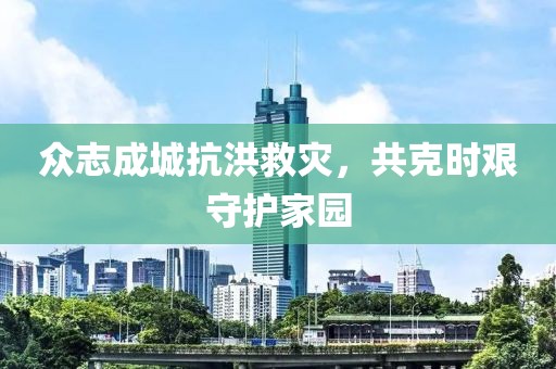 众志成城抗洪救灾，共克时艰守护家园