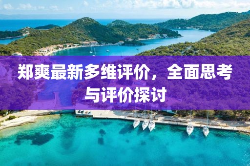 郑爽最新多维评价，全面思考与评价探讨
