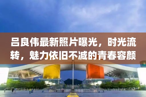 吕良伟最新照片曝光，时光流转，魅力依旧不减的青春容颜