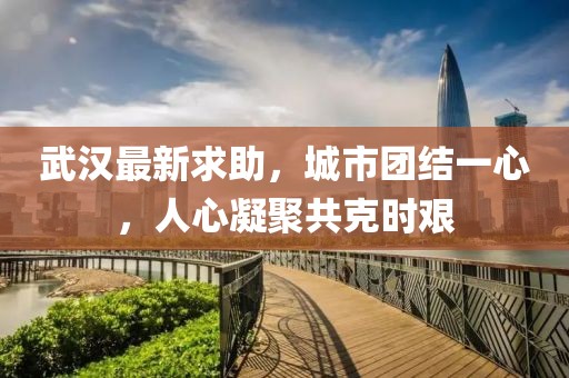 武汉最新求助，城市团结一心，人心凝聚共克时艰