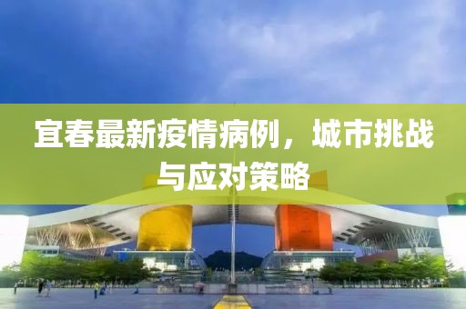 宜春最新疫情病例，城市挑战与应对策略