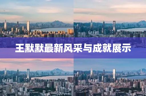 王默默最新风采与成就展示