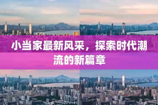 小当家最新风采，探索时代潮流的新篇章