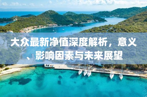 大众最新净值深度解析，意义、影响因素与未来展望