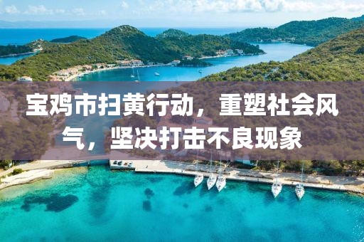宝鸡市扫黄行动，重塑社会风气，坚决打击不良现象