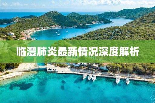 临澧肺炎最新情况深度解析