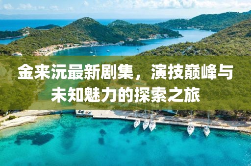 金来沅最新剧集，演技巅峰与未知魅力的探索之旅