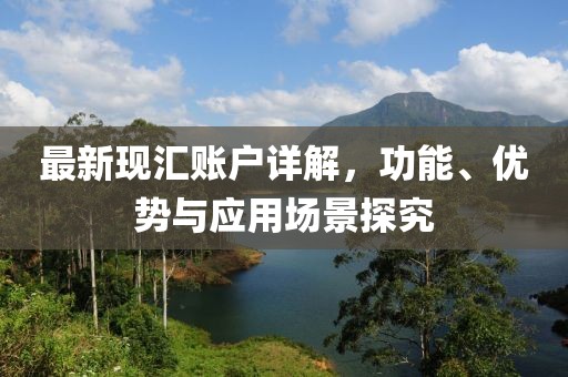 最新现汇账户详解，功能、优势与应用场景探究