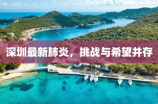 深圳最新肺炎，挑战与希望并存