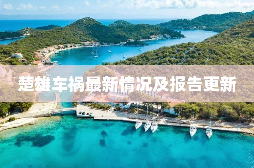 2025年2月 第210页