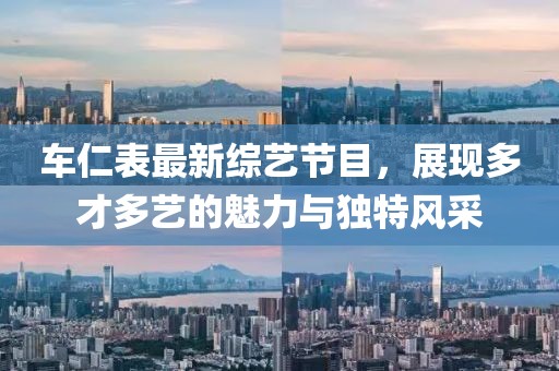车仁表最新综艺节目，展现多才多艺的魅力与独特风采
