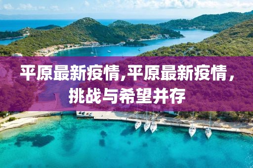 平原最新疫情,平原最新疫情，挑战与希望并存