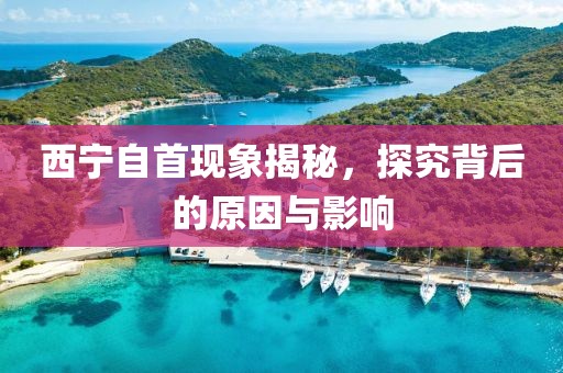 西宁自首现象揭秘，探究背后的原因与影响