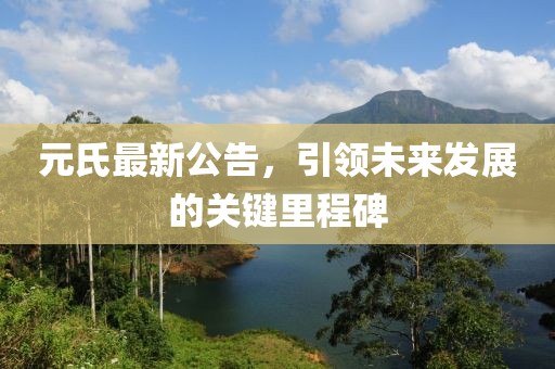 元氏最新公告，引领未来发展的关键里程碑