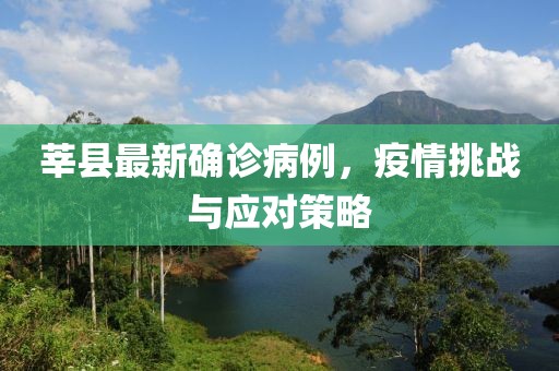 莘县最新确诊病例，疫情挑战与应对策略