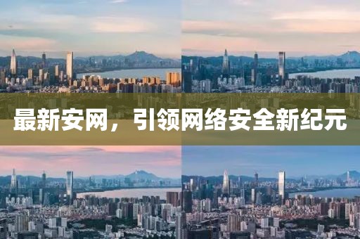 最新安网，引领网络安全新纪元