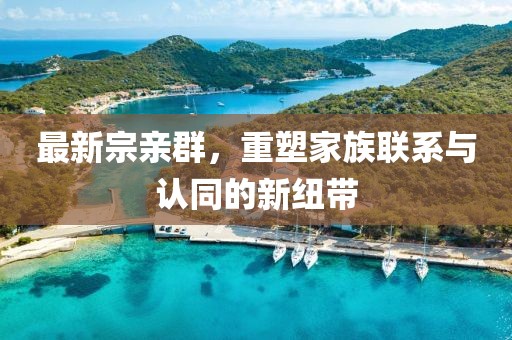 最新宗亲群，重塑家族联系与认同的新纽带