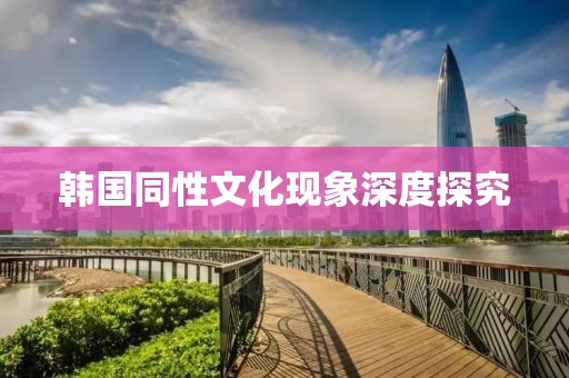 韩国同性文化现象深度探究